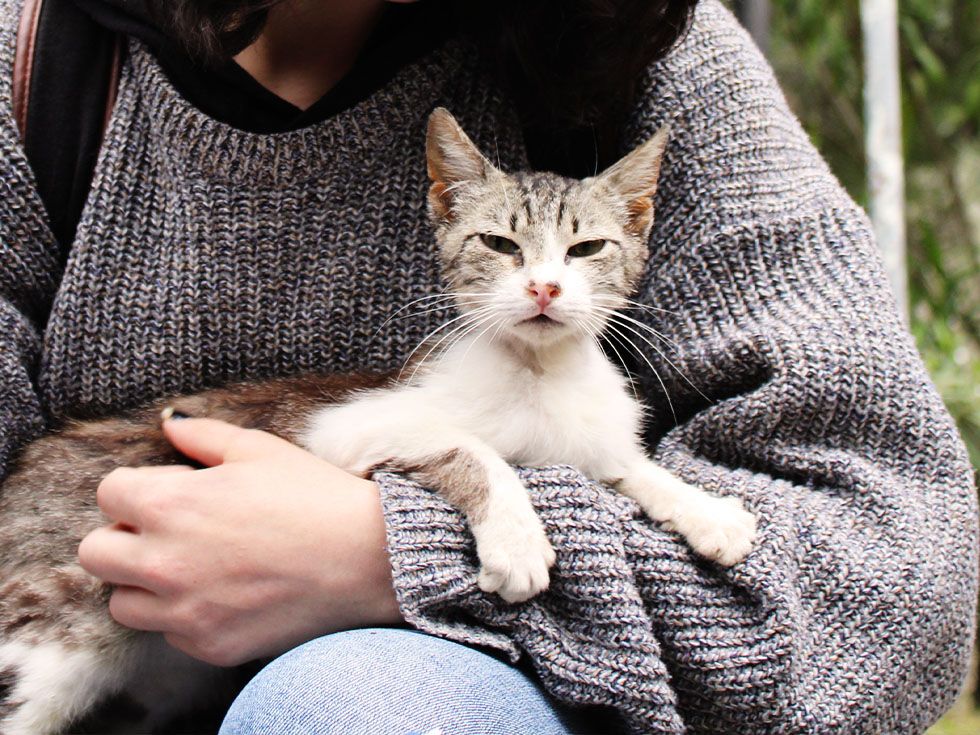 young woman holding cat at park