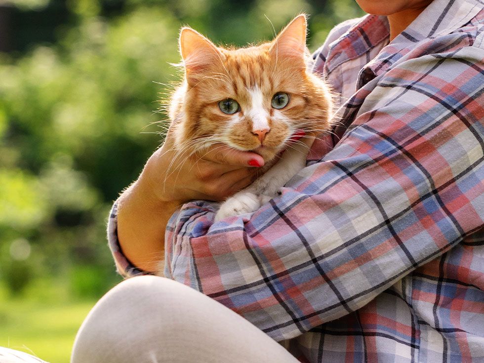 woman hugging ginger cat outdoors