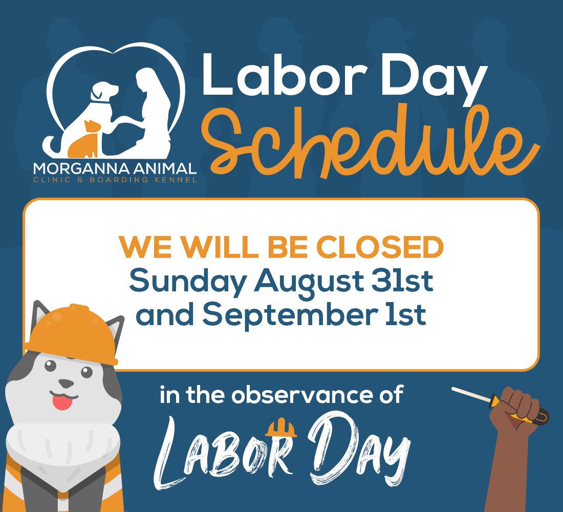 We will be closed Sunday August 31st and September 1st in the observance of Labor Day. 